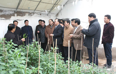 甘肃省政府督查组赴麦积区开展商贸领域专项督查